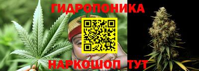 винт Обь