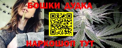 стаф Обнинск