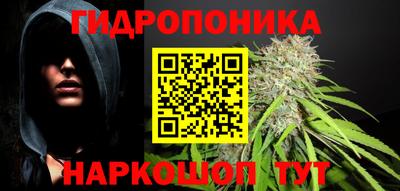стаф Обнинск
