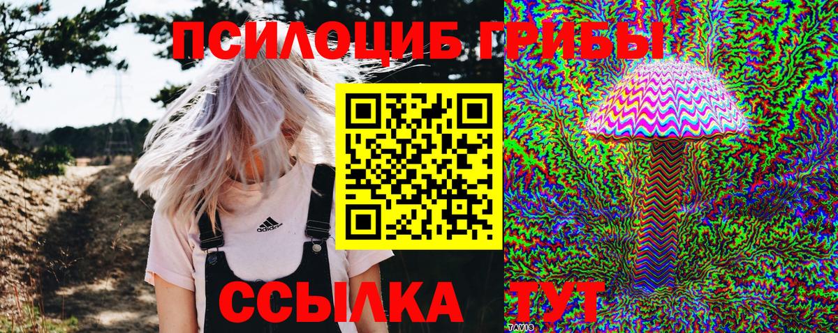 Псилоцибиновые грибы Magic Shrooms  Вход с VPN  Псилоцибиновые грибы Magic Shrooms  Советская Гавань 